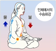 건강 찾고 삶의 지혜 얻은 기 수련기